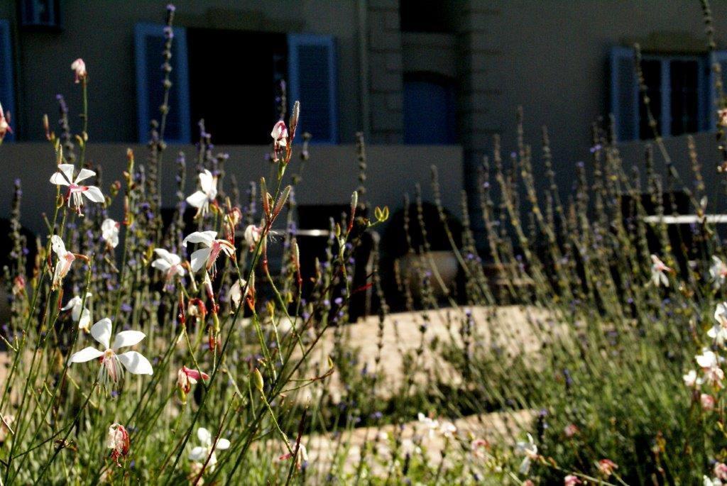 La Cabriere Country House Franschhoek Exterior photo